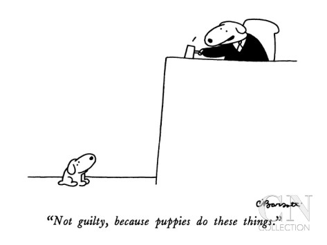 Not Guilty